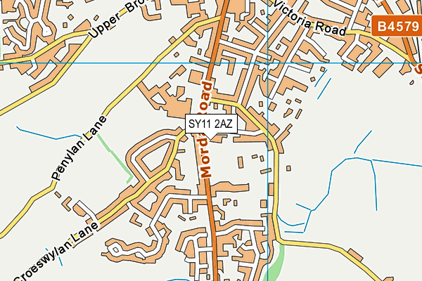 SY11 2AZ map - OS VectorMap District (Ordnance Survey)