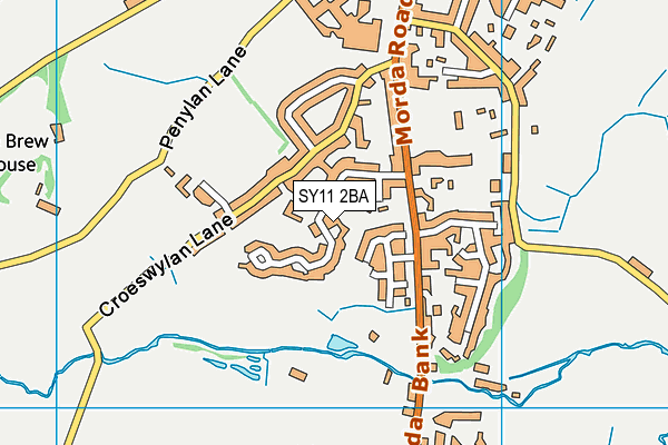 SY11 2BA map - OS VectorMap District (Ordnance Survey)