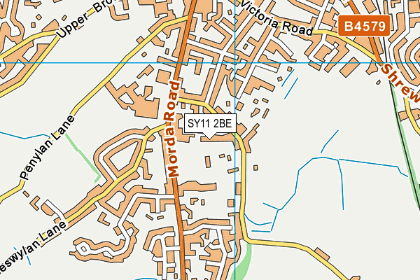 SY11 2BE map - OS VectorMap District (Ordnance Survey)
