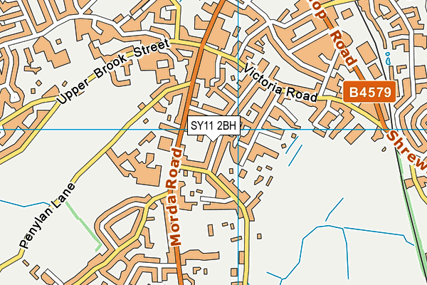 SY11 2BH map - OS VectorMap District (Ordnance Survey)