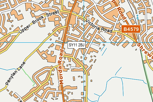 SY11 2BJ map - OS VectorMap District (Ordnance Survey)