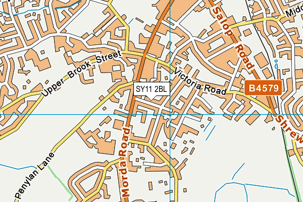 SY11 2BL map - OS VectorMap District (Ordnance Survey)