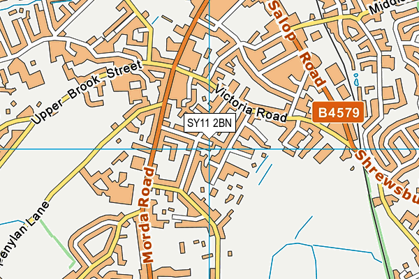 SY11 2BN map - OS VectorMap District (Ordnance Survey)