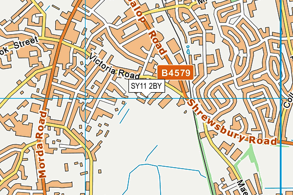 SY11 2BY map - OS VectorMap District (Ordnance Survey)