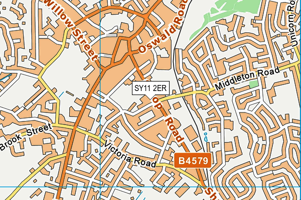 SY11 2ER map - OS VectorMap District (Ordnance Survey)