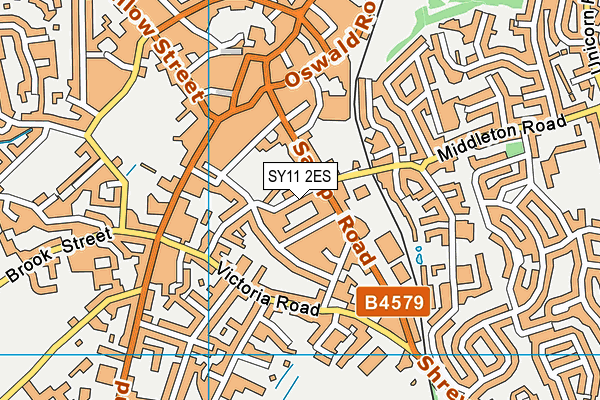 SY11 2ES map - OS VectorMap District (Ordnance Survey)