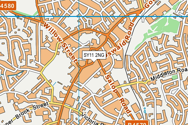 SY11 2NG map - OS VectorMap District (Ordnance Survey)