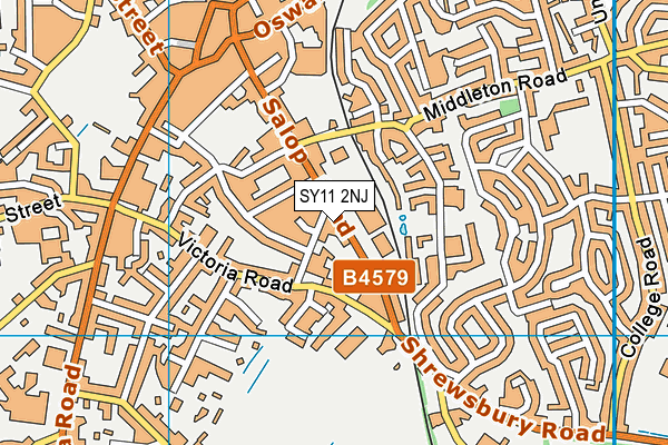 SY11 2NJ map - OS VectorMap District (Ordnance Survey)