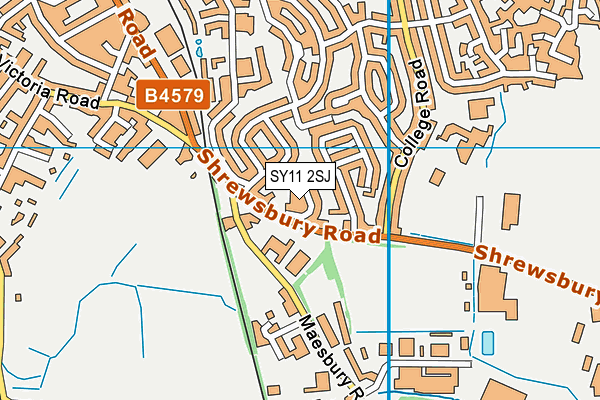 SY11 2SJ map - OS VectorMap District (Ordnance Survey)