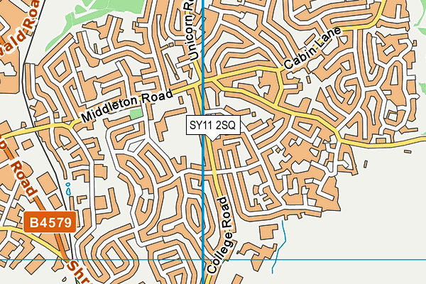SY11 2SQ map - OS VectorMap District (Ordnance Survey)