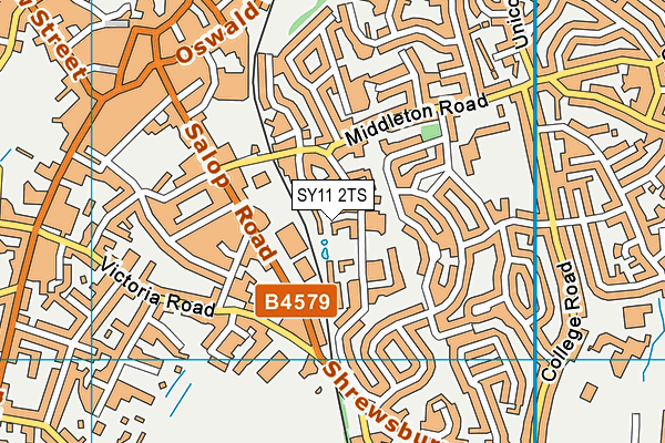 SY11 2TS map - OS VectorMap District (Ordnance Survey)