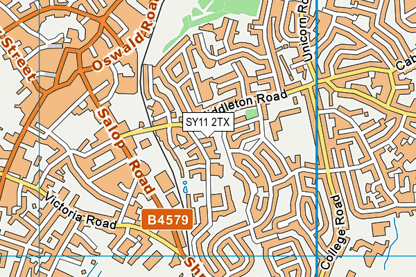 SY11 2TX map - OS VectorMap District (Ordnance Survey)