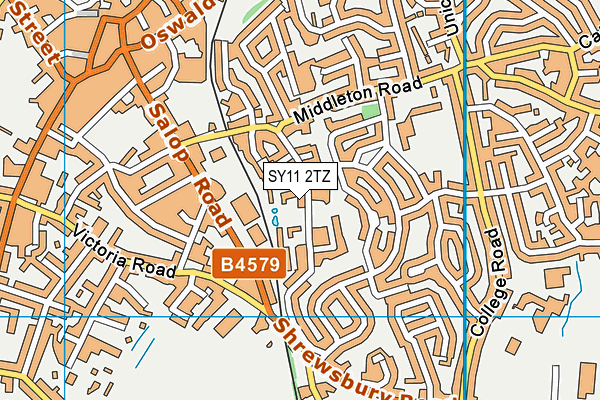 SY11 2TZ map - OS VectorMap District (Ordnance Survey)