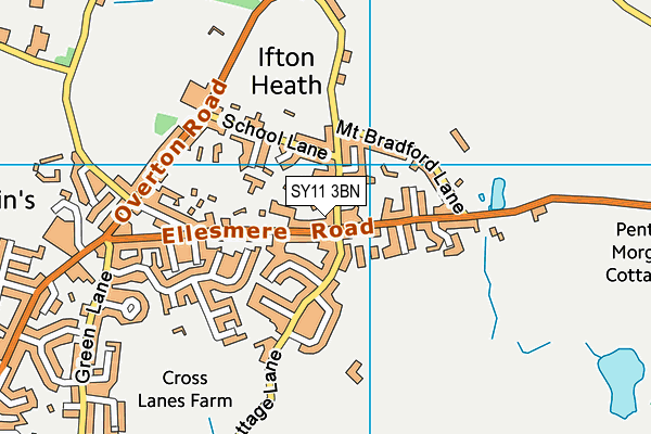 SY11 3BN map - OS VectorMap District (Ordnance Survey)