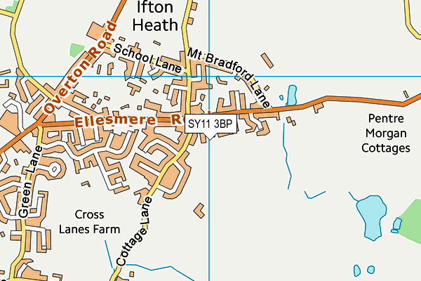 SY11 3BP map - OS VectorMap District (Ordnance Survey)