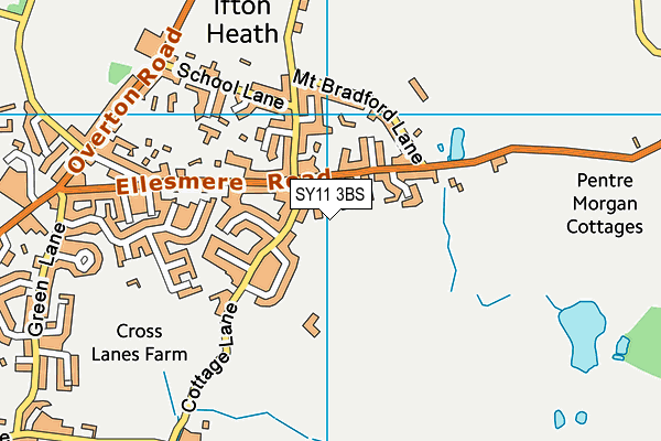 SY11 3BS map - OS VectorMap District (Ordnance Survey)
