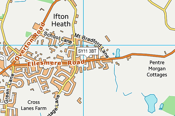 SY11 3BT map - OS VectorMap District (Ordnance Survey)