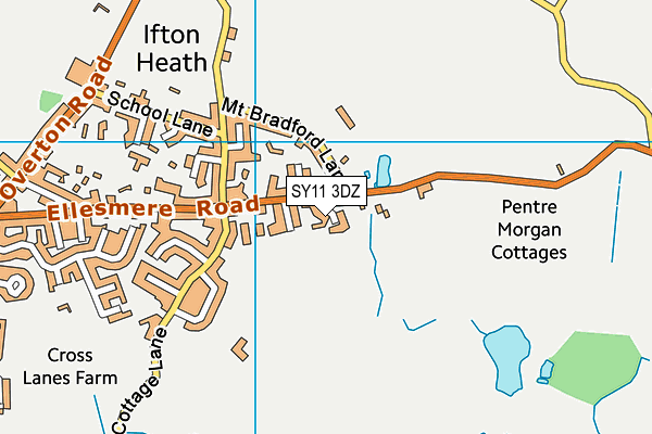 SY11 3DZ map - OS VectorMap District (Ordnance Survey)