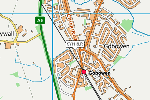 SY11 3LR map - OS VectorMap District (Ordnance Survey)