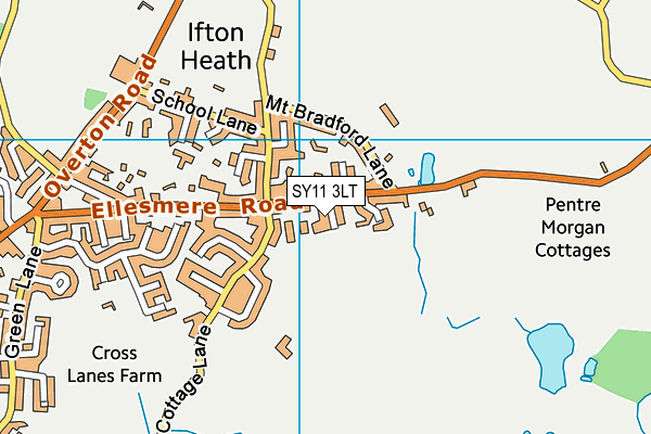 SY11 3LT map - OS VectorMap District (Ordnance Survey)