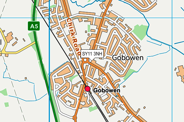 SY11 3NH map - OS VectorMap District (Ordnance Survey)