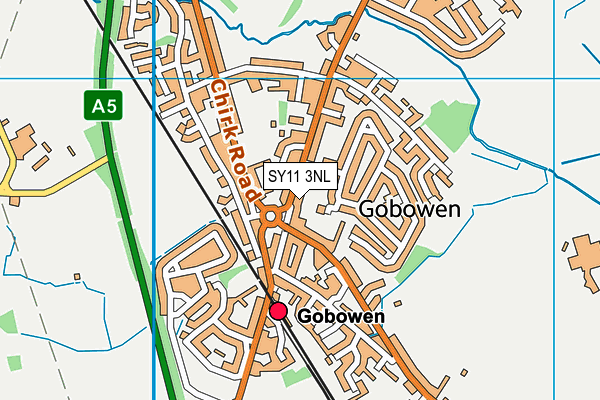 SY11 3NL map - OS VectorMap District (Ordnance Survey)