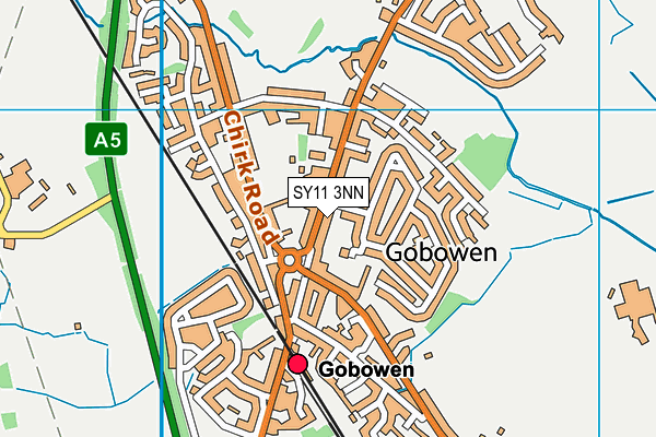 SY11 3NN map - OS VectorMap District (Ordnance Survey)