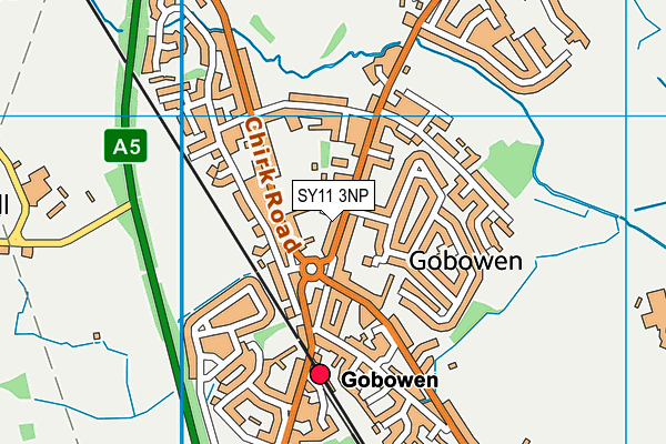 SY11 3NP map - OS VectorMap District (Ordnance Survey)