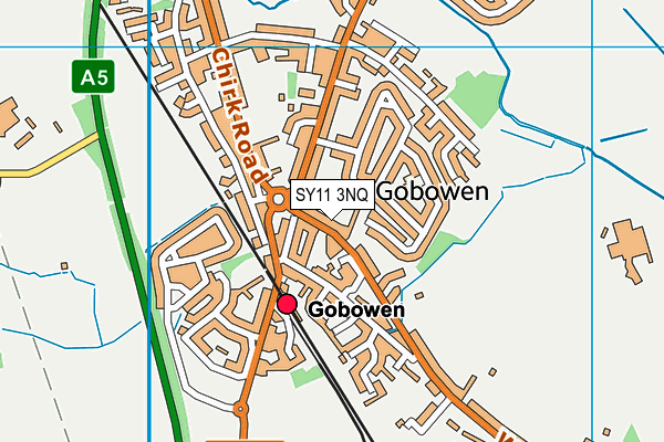 SY11 3NQ map - OS VectorMap District (Ordnance Survey)