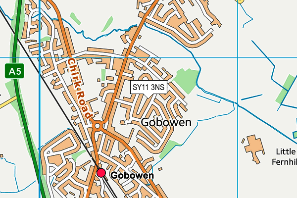 SY11 3NS map - OS VectorMap District (Ordnance Survey)