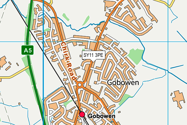 SY11 3PE map - OS VectorMap District (Ordnance Survey)