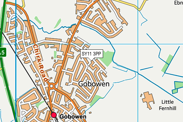 SY11 3PP map - OS VectorMap District (Ordnance Survey)