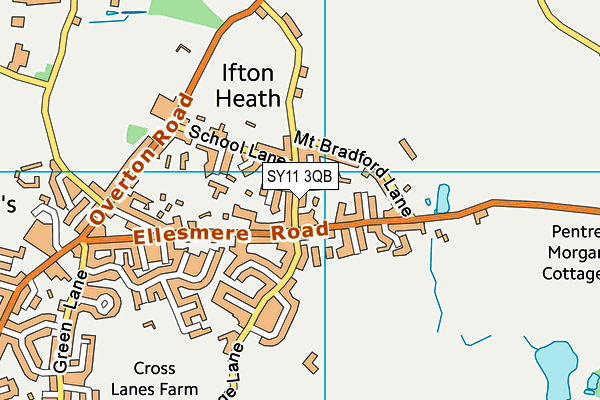 SY11 3QB map - OS VectorMap District (Ordnance Survey)