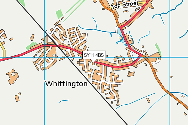 SY11 4BS map - OS VectorMap District (Ordnance Survey)