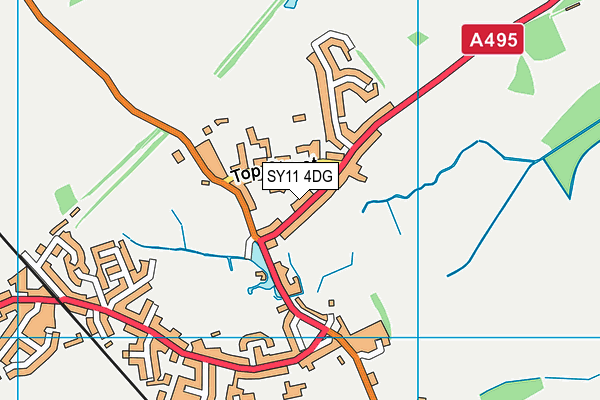 SY11 4DG map - OS VectorMap District (Ordnance Survey)