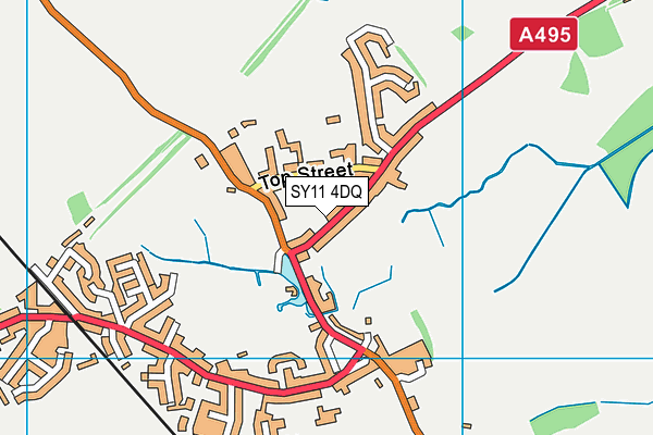SY11 4DQ map - OS VectorMap District (Ordnance Survey)