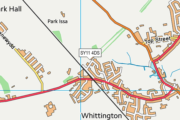 SY11 4DS map - OS VectorMap District (Ordnance Survey)