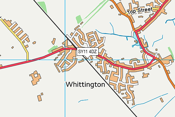 SY11 4DZ map - OS VectorMap District (Ordnance Survey)