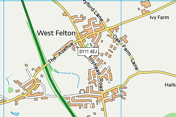 SY11 4EJ map - OS VectorMap District (Ordnance Survey)