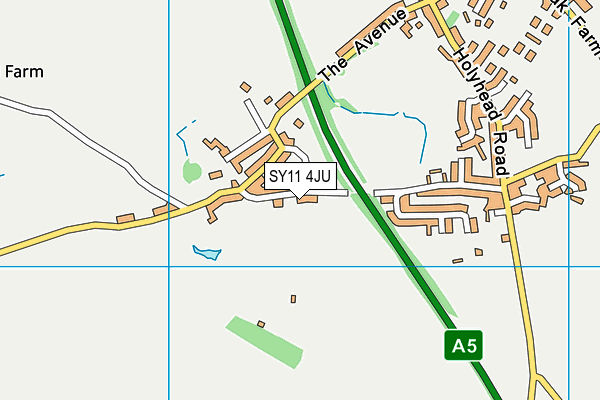 SY11 4JU map - OS VectorMap District (Ordnance Survey)