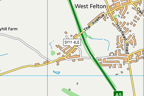 SY11 4LE map - OS VectorMap District (Ordnance Survey)