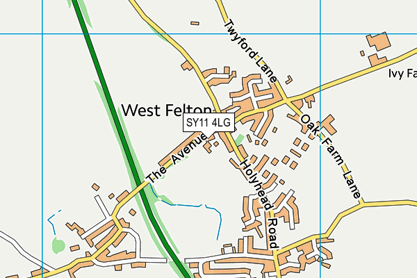 SY11 4LG map - OS VectorMap District (Ordnance Survey)
