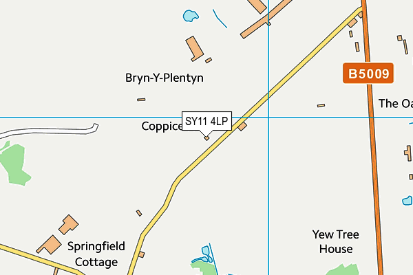 SY11 4LP map - OS VectorMap District (Ordnance Survey)