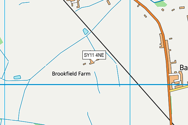 SY11 4NE map - OS VectorMap District (Ordnance Survey)