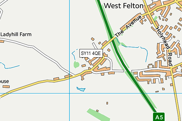 SY11 4QE map - OS VectorMap District (Ordnance Survey)