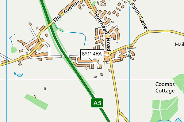 SY11 4RA map - OS VectorMap District (Ordnance Survey)
