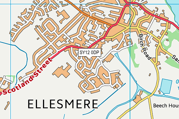 SY12 0DP map - OS VectorMap District (Ordnance Survey)