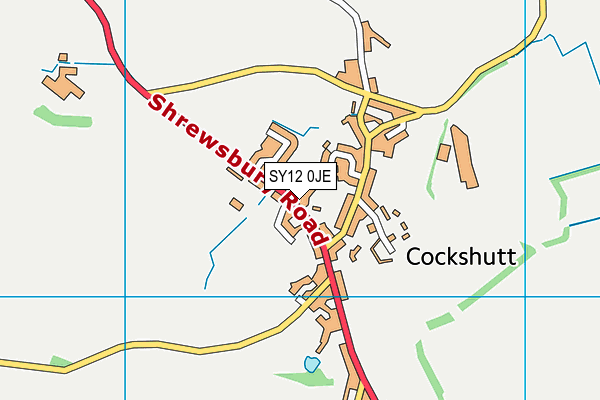 Cockshutt CofE Primary School and Nursery map (SY12 0JE) - OS VectorMap District (Ordnance Survey)