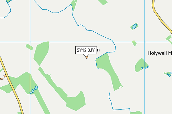 SY12 0JY map - OS VectorMap District (Ordnance Survey)