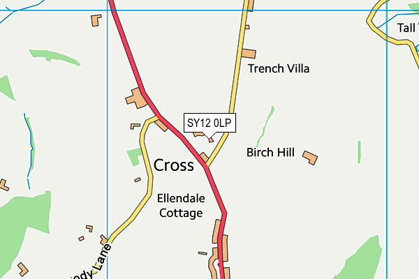 SY12 0LP map - OS VectorMap District (Ordnance Survey)